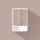 Олівець для брів POPPY HEAD Browsome, 01 Soft Taupe (5903843265634)