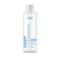 Шампунь для глибокого очищення волосся RONNEY Professional Deep Cleaning Shampoo, 300 мл (5060589151642)
